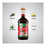 ZANDUPANCHARISTA 450 ML